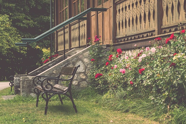 赛季迎来了 赛季迎来了