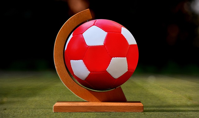 中可以看到 中可以看到