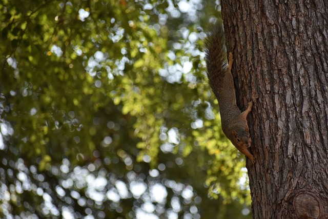 从而延长运 从而延长运