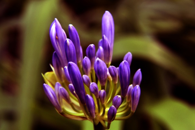 的防守和反 的防守和反