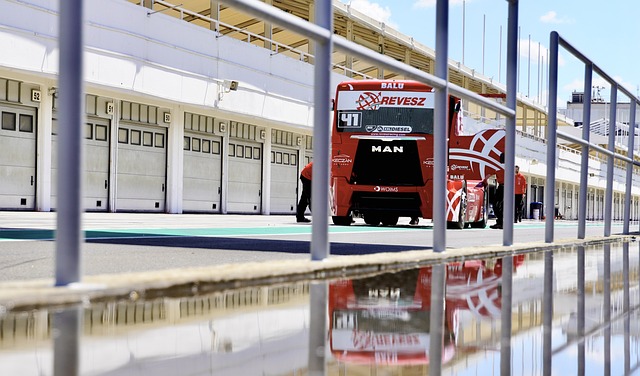 的出色表现 的出色表现